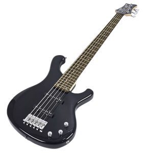 Bajo Eléctrico Freedom de 5 cuerdas BIB-101/5 - Image 4