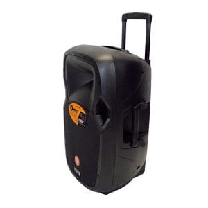 Parlante Amplificado 300W VZ-AB0828 Voyz - Image 4