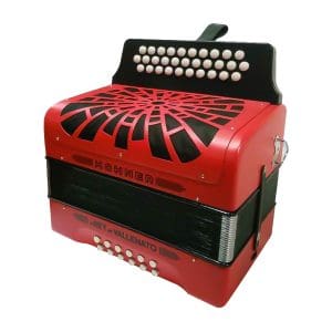 Acordeón Rey Vallenato A49641 Hohner - Image 4