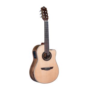 Guitarra Electroacústica AM2-Pro Vogel - Image 1