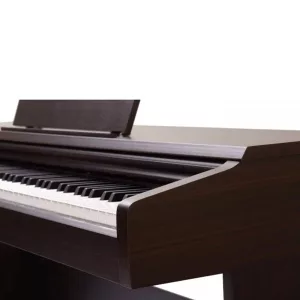 Piano digital de 88 teclas V-05  Pearl River - Image 2