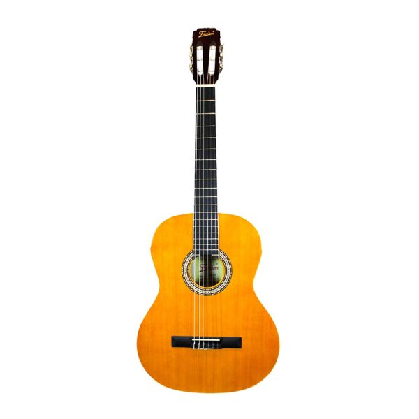 GUITARRA-ACUSTICA-FREEDOM-CG-500---1