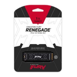 Disco Solido Renegade 1TB Kinkgston - Image 1