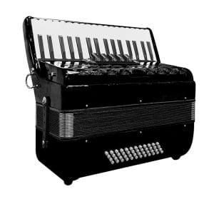 Acordeón de 48 bajos + Estuche YW856 34K48BS Parrot - Image 2