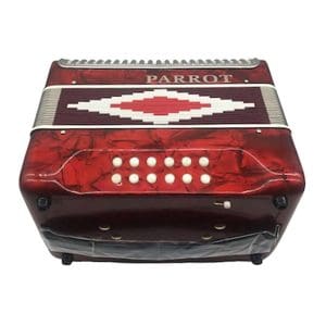 Acordeón Vallenato de 12 bajos + Estuche YW667 31K12BS Parrot - Image 4
