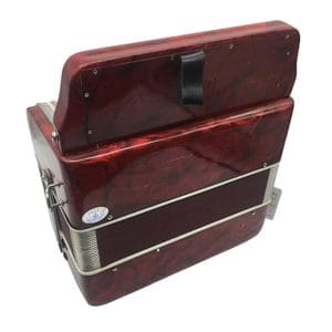 Acordeón Vallenato de 12 bajos + Estuche YW667 31K12BS Parrot - Image 5