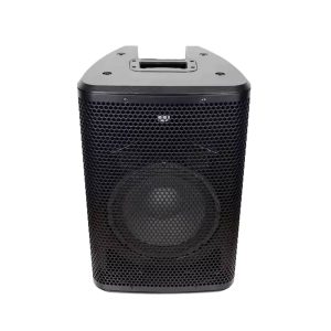 Parlante Amplificado de 10p CAO10D3 Accuracy - Image 2