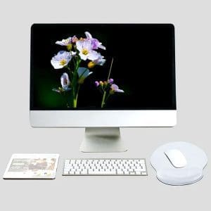 Pad Mouse Ergonómico con Gel LP668 Nitron - Image 10