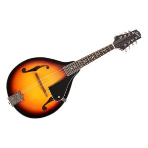 Mandolin M-10 Freedom - Image 3