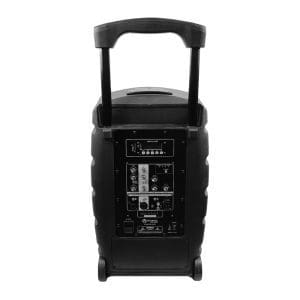 Parlante amplificado de 10p 2 x 100W BT10D5 - Image 6