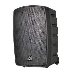 Parlante amplificado de 10p 2 x 100W BT10D5 - Image 7