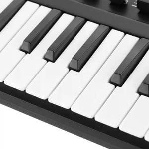 Controlador MIDI Panda25 de 25 teclas Worlde - Image 9