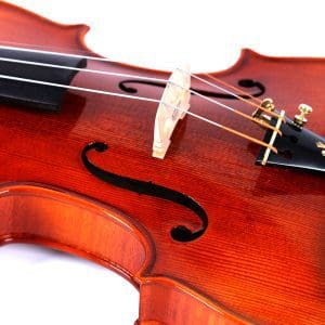 Violín 4/4 Hecho a mano OVT101E Phoenix - Image 6