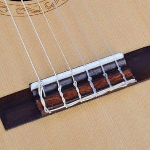 Guitarra Clásica Guitalele TUG-10C Tayste - Image 6