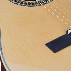 Guitarra Electroclásica TR-CG36-39 Tayste - Image 9