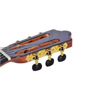 Guitarra Electroacústica CG-550S-39C Kaysen - Image 2
