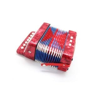 Acordeón de Niño DF910 Bee - Image 4