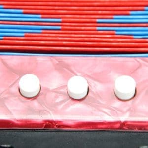 Acordeón de Niño DF910 Bee - Image 6