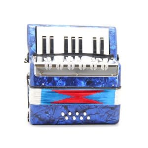 Acordeón para Niño 8 bajos DF911 Bee - Image 10