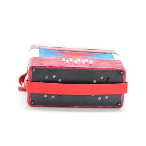 Acordeón para Niño 8 bajos DF911 Bee - Image 7