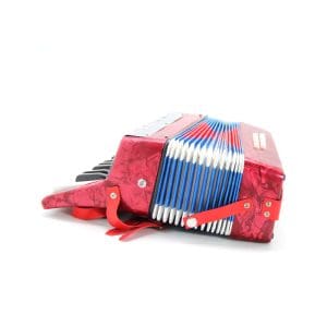 Acordeón para Niño 8 bajos DF911 Bee - Image 6