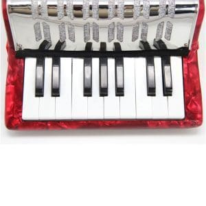 Acordeón para Niño 8 bajos DF911 Bee - Image 4