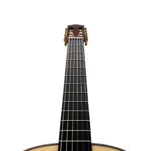 Guitarra Clásica HCG033 Phoenix - Image 6