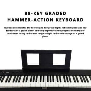 Piano Digital de 88 Teclas S216 PVC Beisite - Image 16